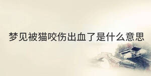 傳統(tǒng) (72).jpg