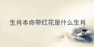 傳統(tǒng) - 2022-10-27T141041.783.jpg