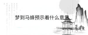 夢到馬蜂預示著什么意思